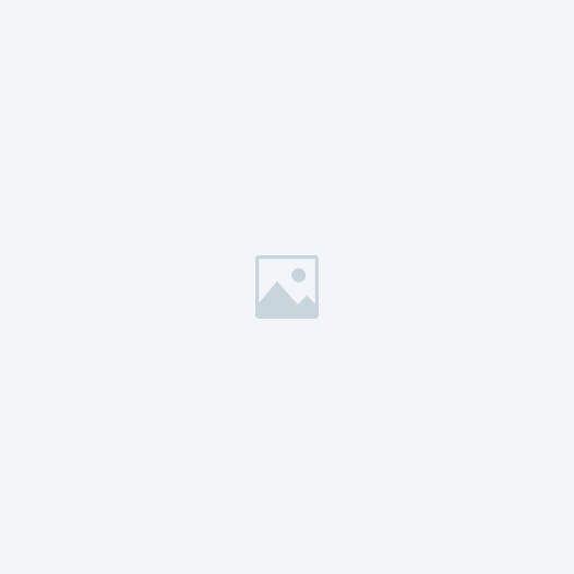 526x526_11jpg -